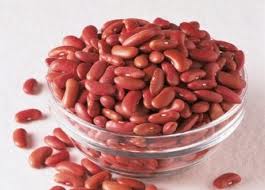 Why Kidney Bean  is in the Herbal Treatment for Recovery from Adrenal Exhaustion & Rehabilitation from Adrenal Abuse