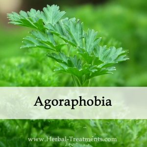 Herbal Medicine for Agoraphobia Anxiety Disorder