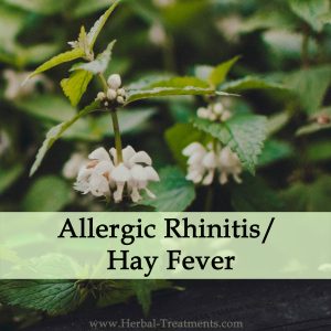 Herbal Medicine for Allergic Rhinitis or Hay Fever