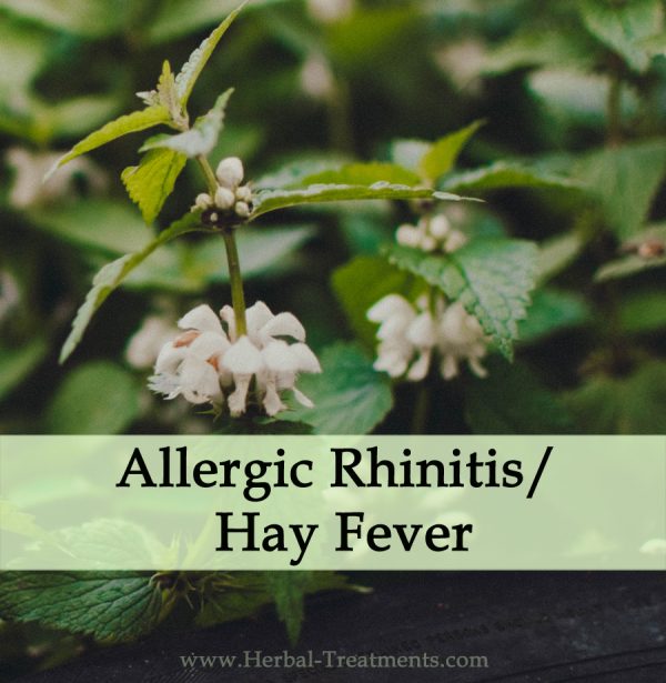 Herbal Medicine for Allergic Rhinitis or Hay Fever