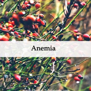 Herbal Medicine for Anemia