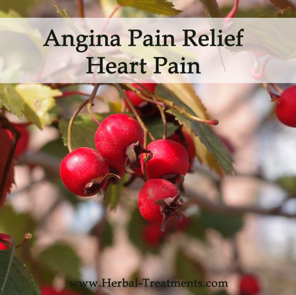 Herbal Medicine for Angina Pain Relief (Heart Pain)