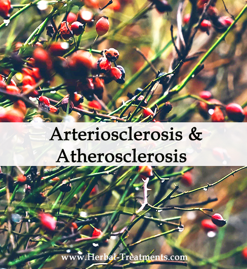 Herbal Medicine for Arteriosclerosis and Atherosclerosis