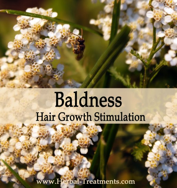Herbal Medicine for Baldness - Hair Growth Stimulation