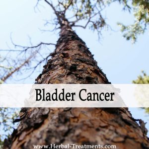 Herbal Medicine for Bladder Cancer Recovery & Prevention