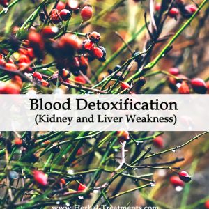 Herbal Medicine for Blood Detoxification - Kidney and Liver Weakness