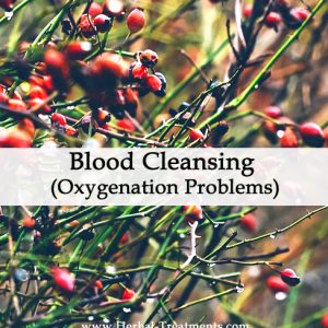 Herbal Medicine for Blood Cleansing - Oxygenation Problems