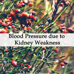 Herbal Medicine for Blood Pressure due to Kidney Weakness