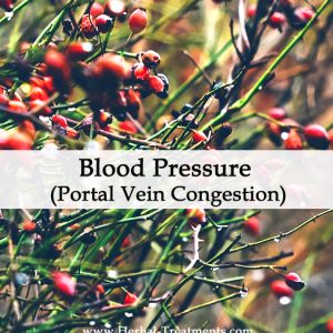 Herbal Medicine for Blood Pressure due to Portal Vein Congestion