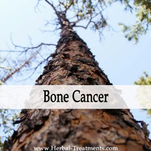 Herbal Medicine for Bone Cancer Recovery & Prevention