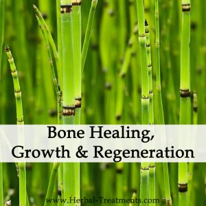 Herbal Medicine for Bone Healing, Growth & Regeneration