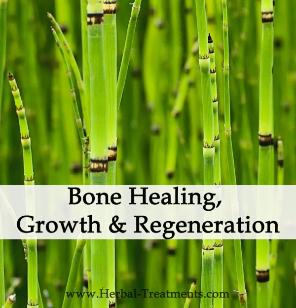 Herbal Medicine for Bone Healing, Growth & Regeneration