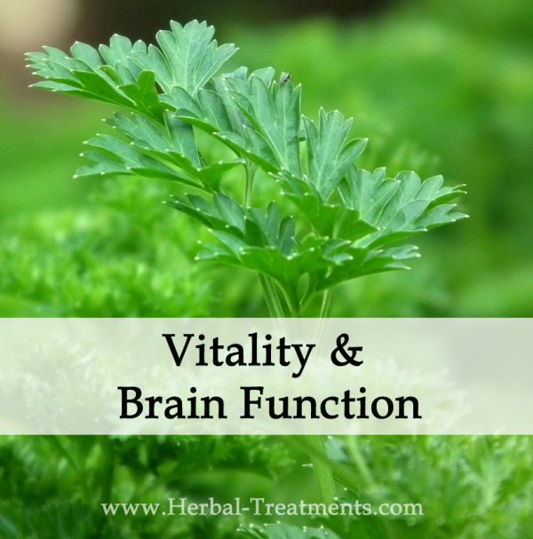 Herbal Medicine for Brain Vitality and Function