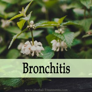 Herbal Medicine for Bronchitis