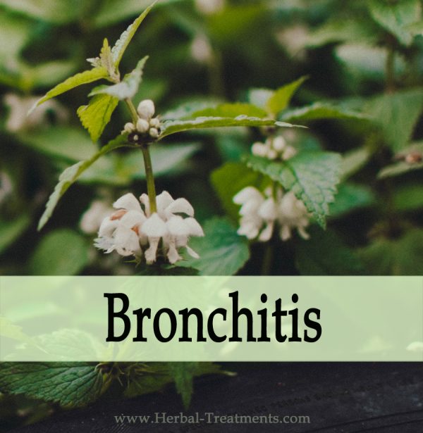 Herbal Medicine for Bronchitis