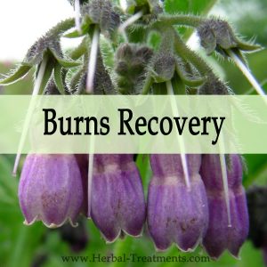 Herbal Medicine for Recovery from Burns