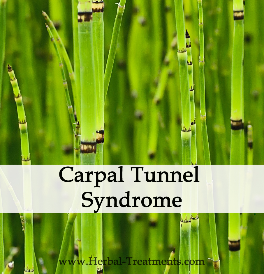 Herbal Medicine for Carpal Tunnel Syndrome