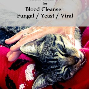 Herbal Treatment for Yeast, Fungal and Viral Infections in Cats