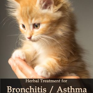 Herbal Treatment for Bronchitis / Asthma in Cats