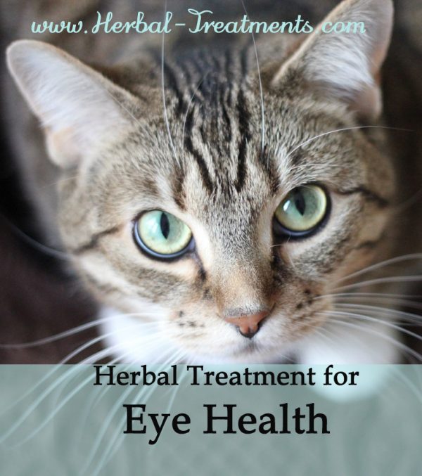 Herbal Treatment for Eye Health / Circulation in Cats