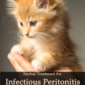 Herbal Treatment for FIP - Infectious Peritonitis in Cats