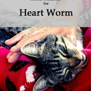 Herbal Treatment for Heart Worm in Cats