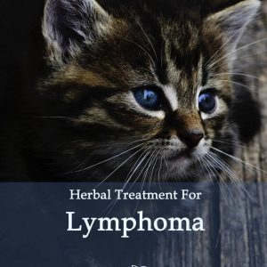 Herbal Treatment for Cancer - Lymphoma Cancer in Cats
