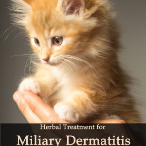 Herbal Treatment for Miliary Dermatitis (Ointment) for Cats