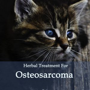 Herbal Treatment for Cancer - Osteosarcoma in Cats