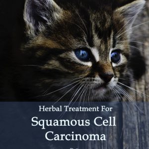 Herbal Treatment for Cancer - Squamous Cell Carcinoma in Cats