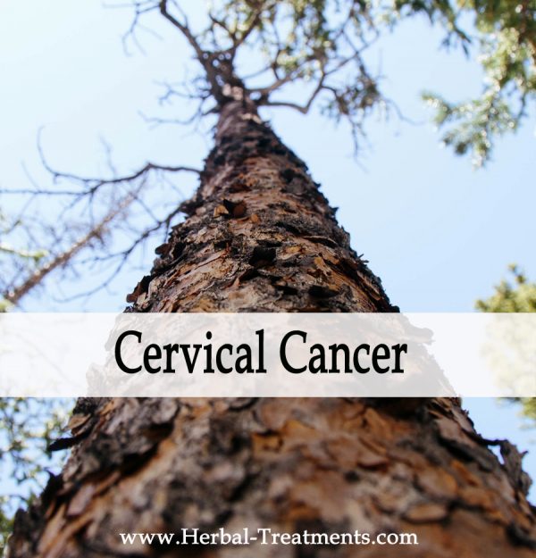 Herbal Medicine for Cervical Cancer Recovery & Prevention