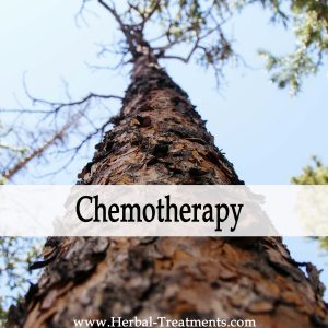 Herbal Medicine for Chemotherapy Recovery & Side-Effects
