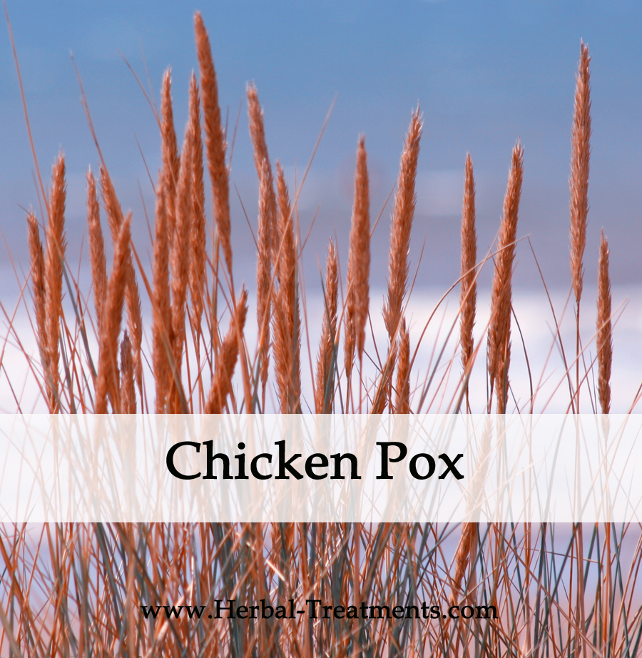 Herbal Medicine for Chicken Pox Recovery
