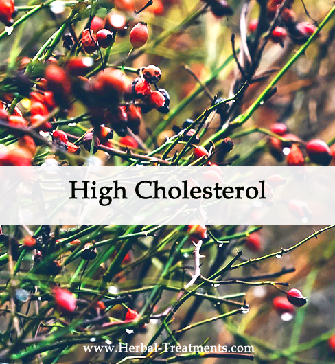 Herbal Medicine for High Cholesterol