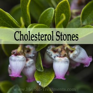 Herbal Medicine for Cholesterol Stones