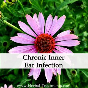 Herbal Medicine for Chronic Inner Ear Infections