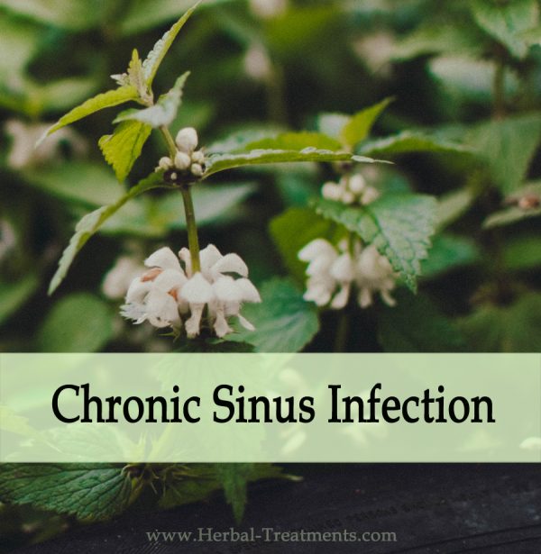 Herbal Medicine for Chronic Sinus Infection - Relief & Prevention