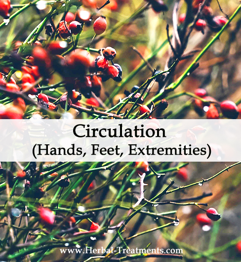 Herbal Medicine for Circulation to Hands, Feet, Extremities