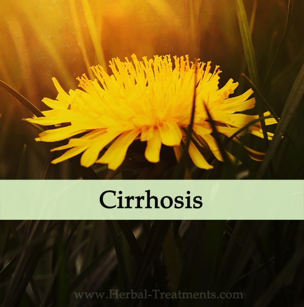 Herbal Medicine for Cirrhosis