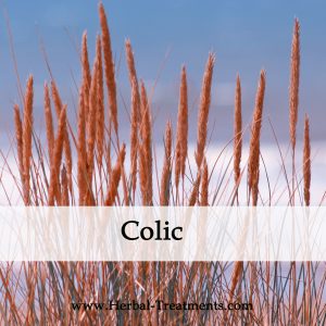 Herbal Medicine for Colic