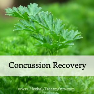Herbal Medicine for Concussion Recovery