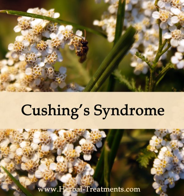 Herbal Medicine for Cushing's Syndrome