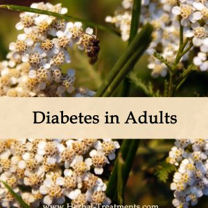 Herbal Medicine for Diabetes in Adults
