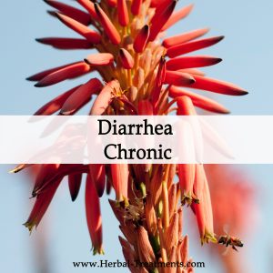 Herbal Medicine for Diarrhea Chronic