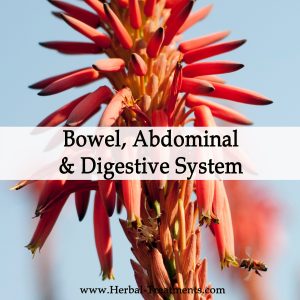 Abdominal, Digestive and Bowel Conditions