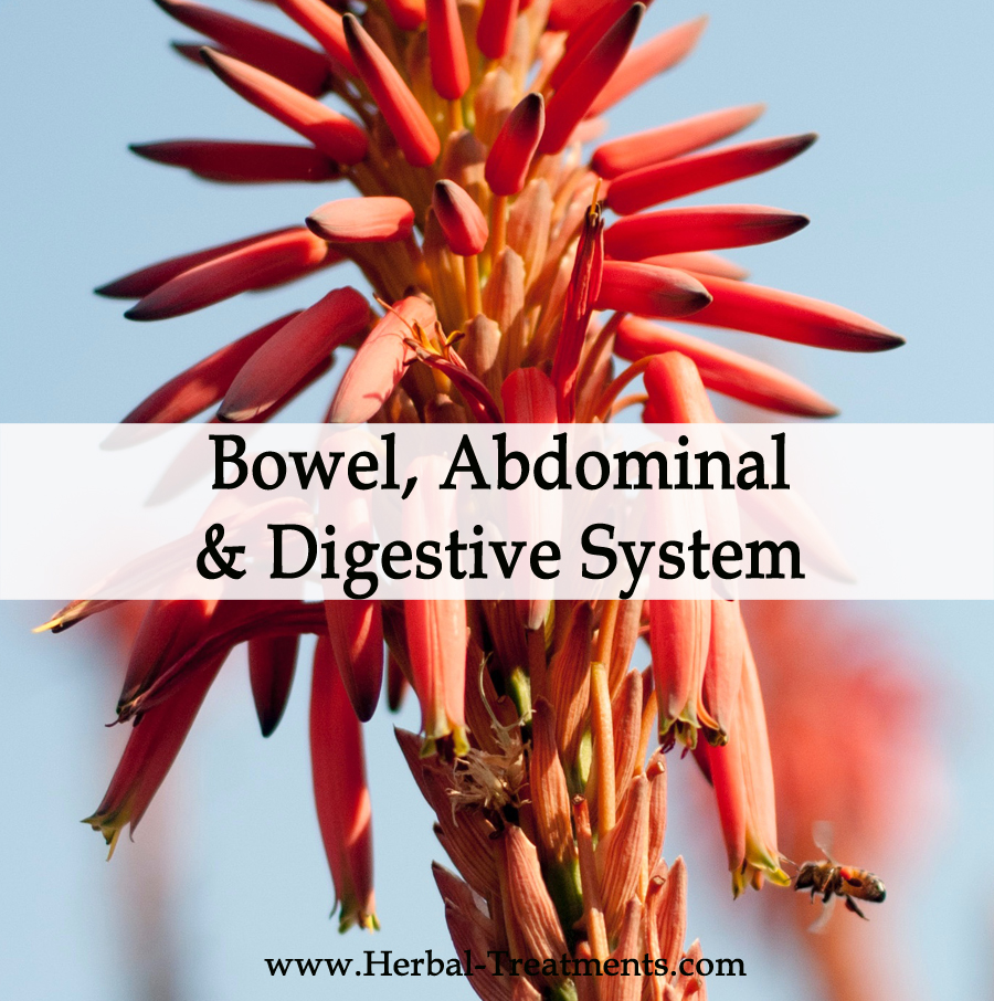 Herbal Treatments for Abdominal, Digestive and Bowel Conditions