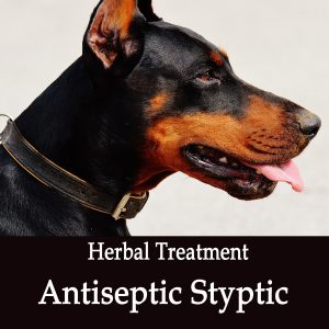 Natural Antiseptic Styptic for Dogs