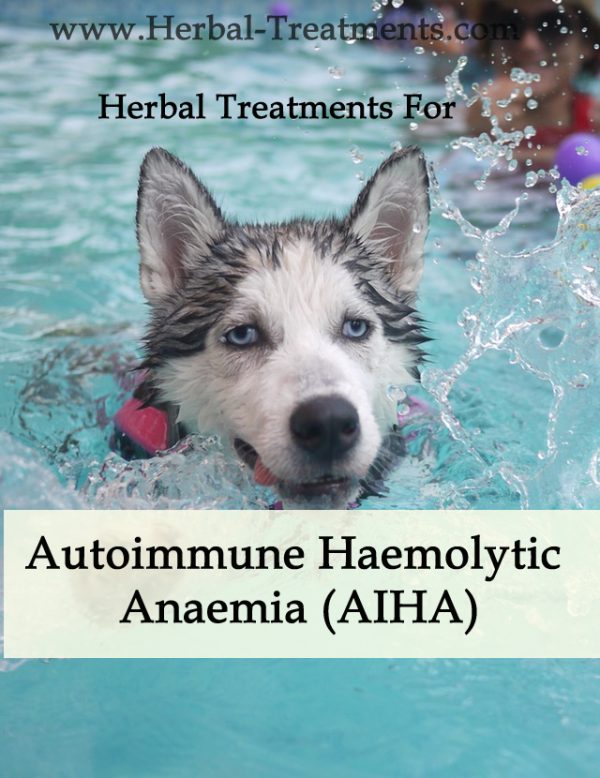 Herbal Treatment for Autoimmune Haemolytic Anaemia (AIHA) in Dogs
