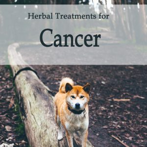 Herbal Treatments for Canine Cancer