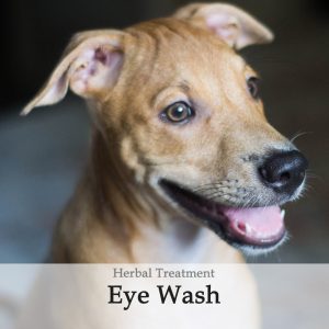 Herbal Treatment - Eye Wash for Dogs